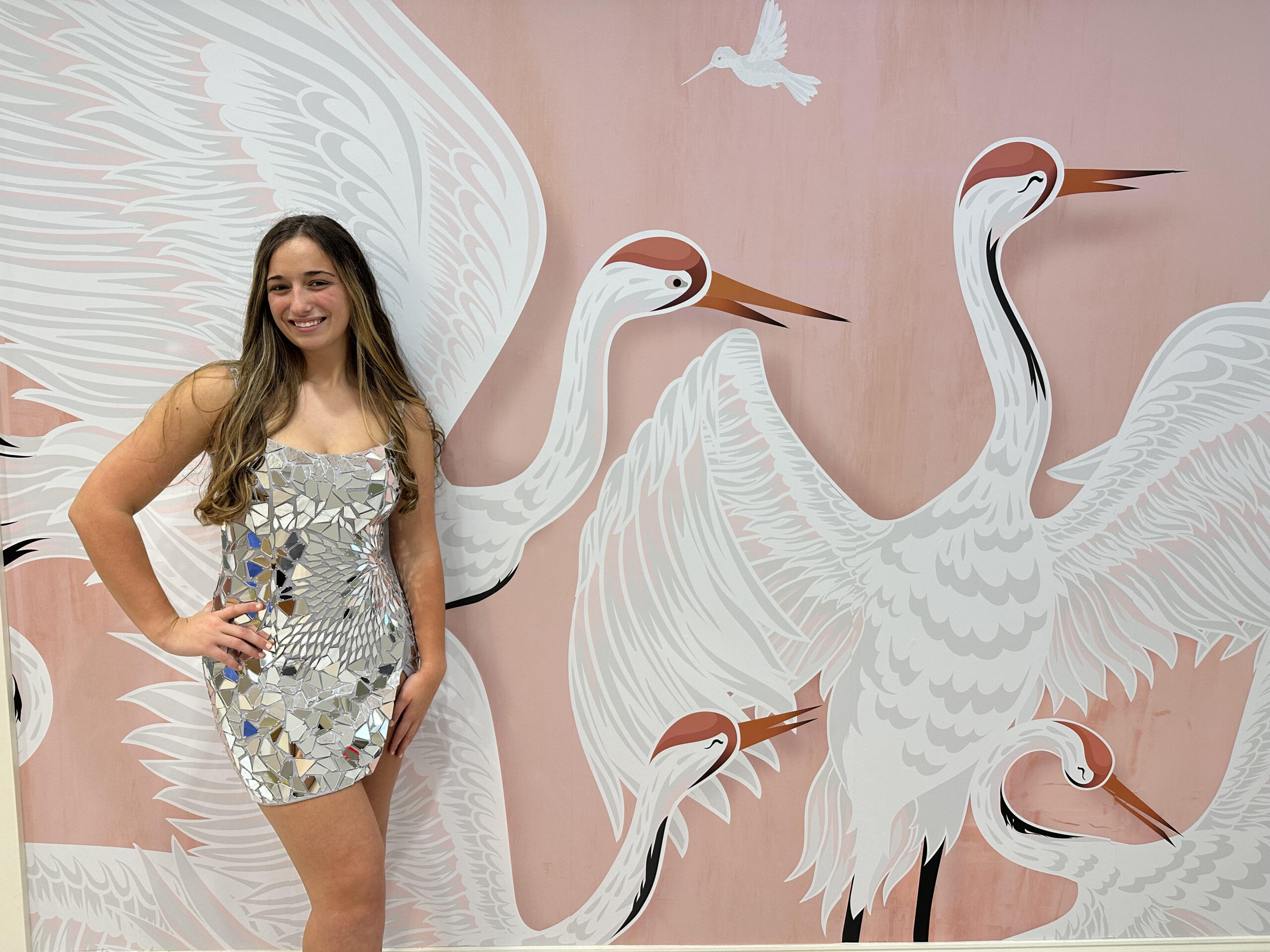 girl posing in silver mirrored homecoming dress in front of pink wallpaper with birds