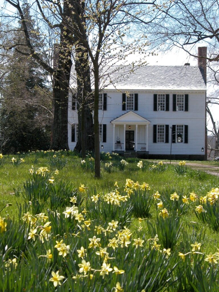 A wide shot of the Historic Tuckahoe wedding venue in Virginia with a lawn full of yellow flowers.