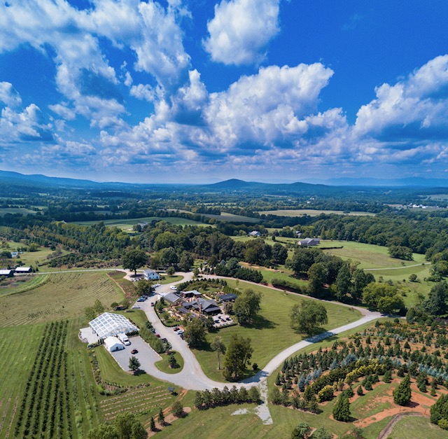 A drone shot of the Market at Grelen wedding venue in Virginia, showing the grounds and a bright blue sky.